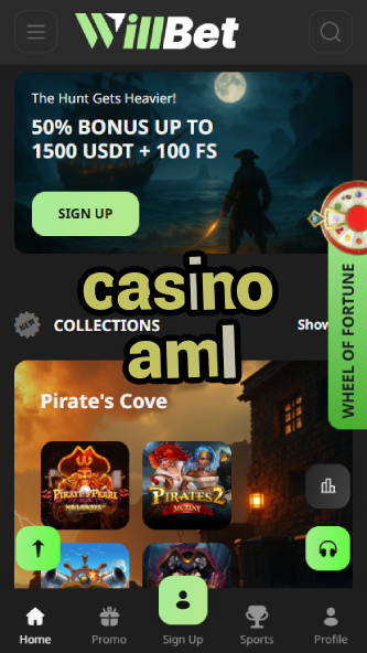 Casino AML - Safe & Compliant Gambling Site-casinocasi.ydblkf.net