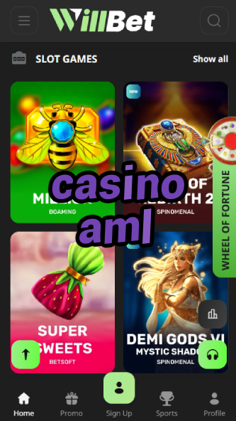 Casino AML - Safe & Compliant Gambling Site-casinocasi.ydblkf.net